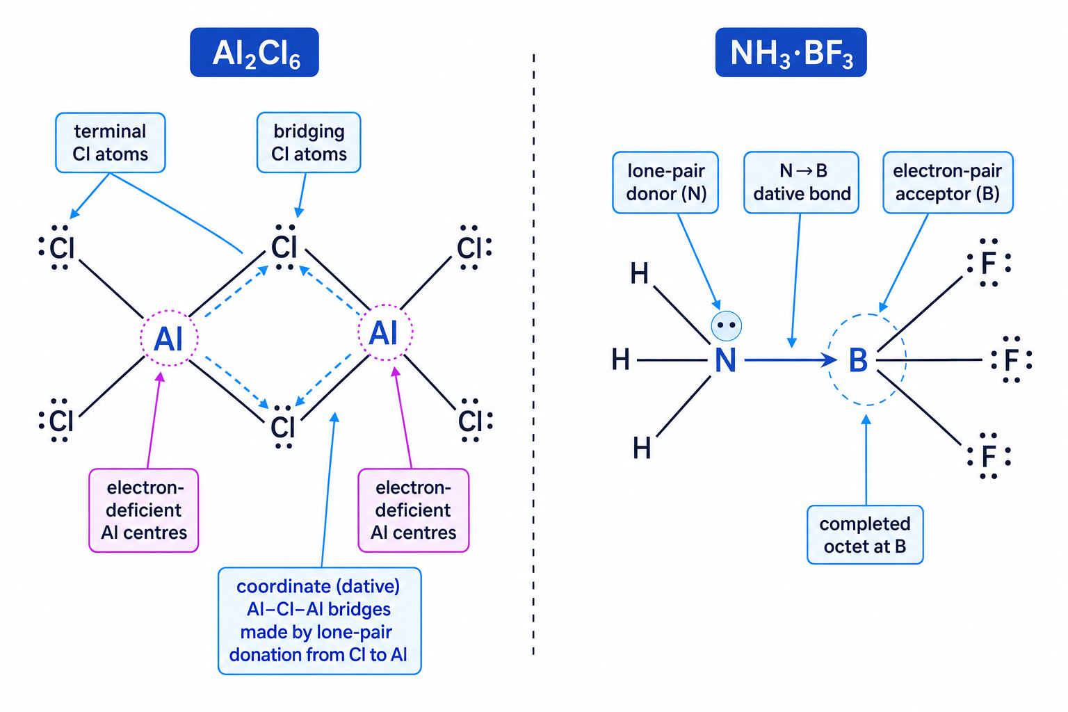 Aluminium chloride dimer and ammonia-boron trifluoride adduct showing dative bonds