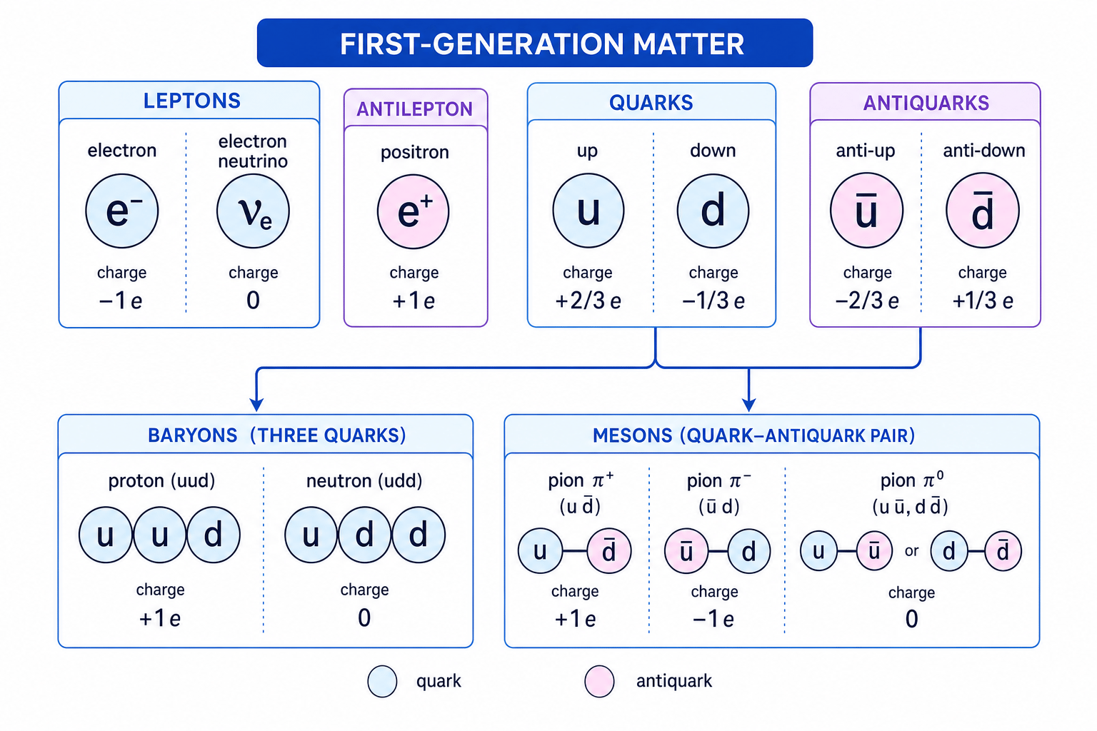 First-generation leptons, quarks, antiquarks, baryons and mesons