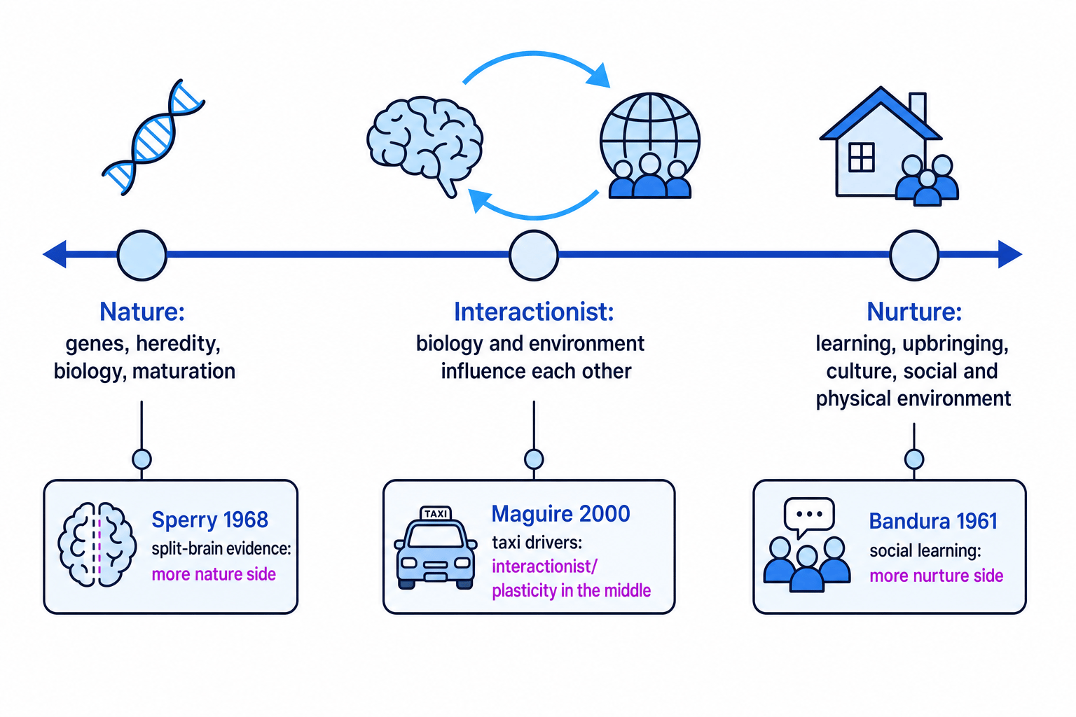 Nature/nurture continuum with Bandura, Sperry and Maguire examples