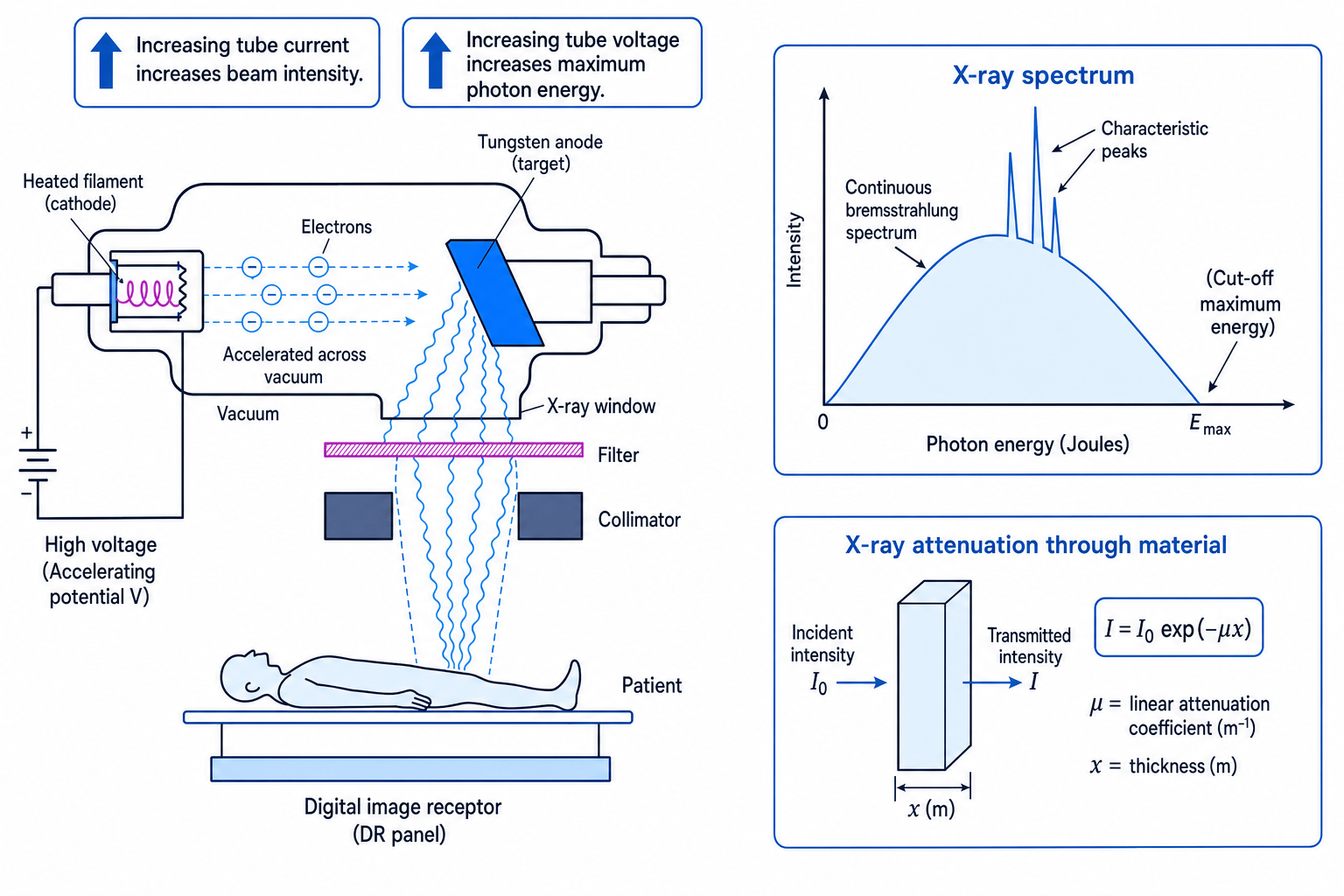 Labelled X-ray tube, spectrum and attenuation schematic